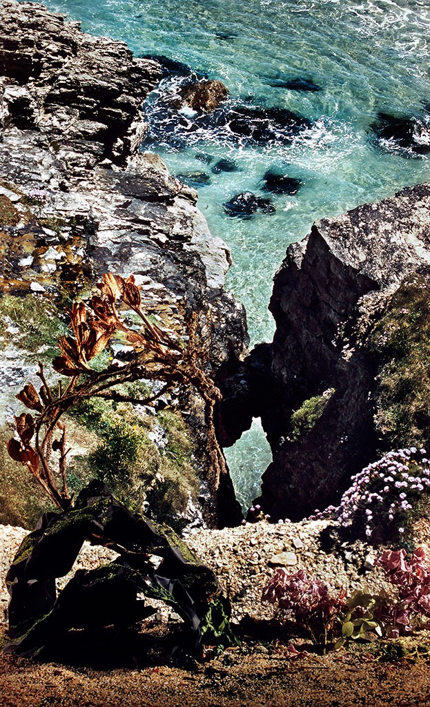 Holly King, Crowned Seascape Holly King, Crowned Seascape
