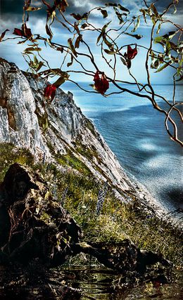 Photographie, Cliff with Vines, Holly King