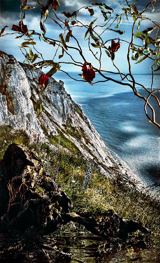 Holly King, Cliff with Vines Holly King, Cliff with Vines