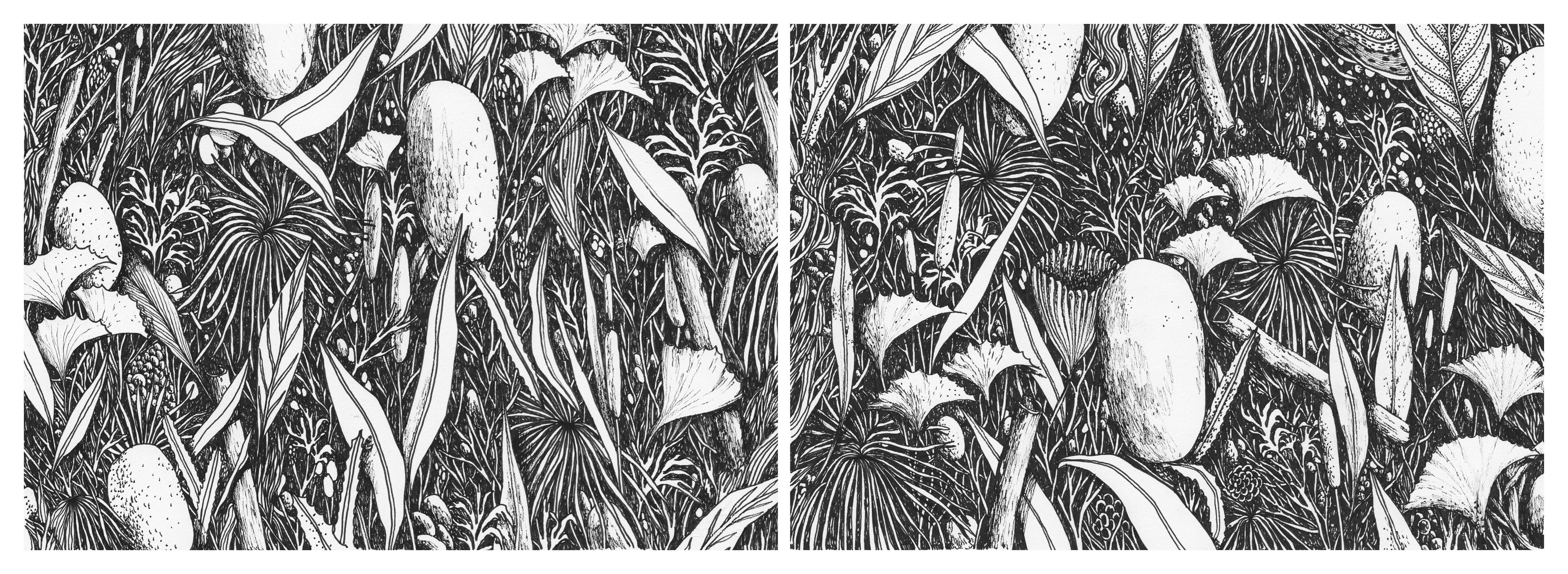 Tellas, The Forest Tellas, The Forest