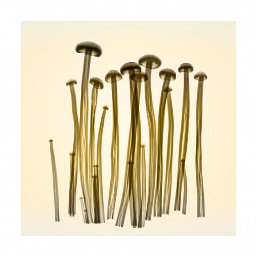 Hugh Turvey, Enoki Grouping Hugh Turvey, Enoki Grouping