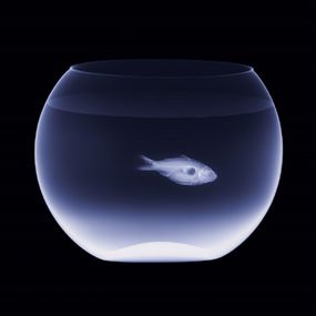 Photography, Air III, Hugh Turvey