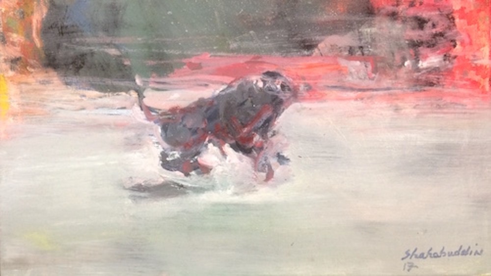 Ahmed Shahabuddin, Corrida Ahmed Shahabuddin, Corrida