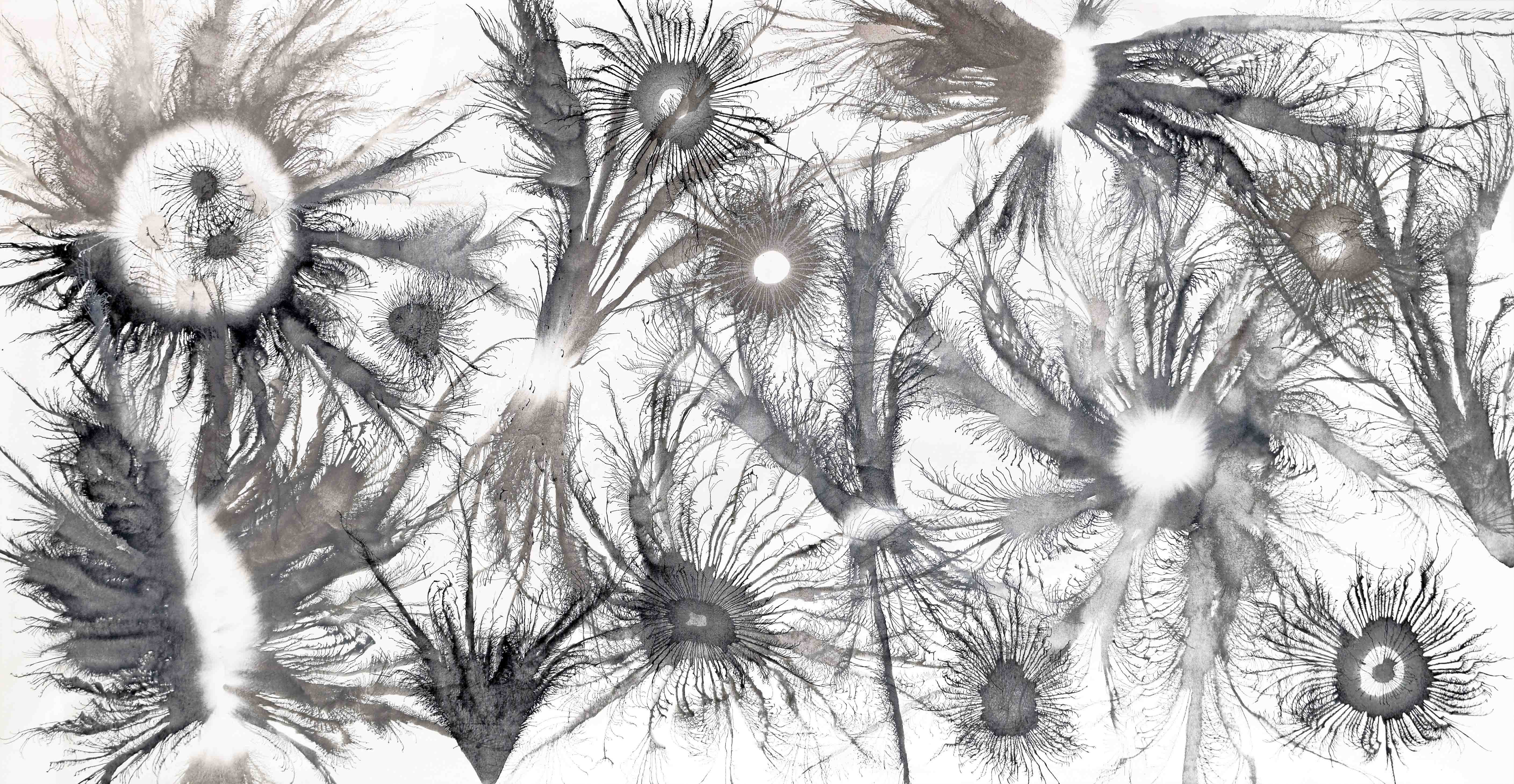 Sumit Mehndiratta, Exploflora Series No.30 Sumit Mehndiratta, Exploflora Series No.30