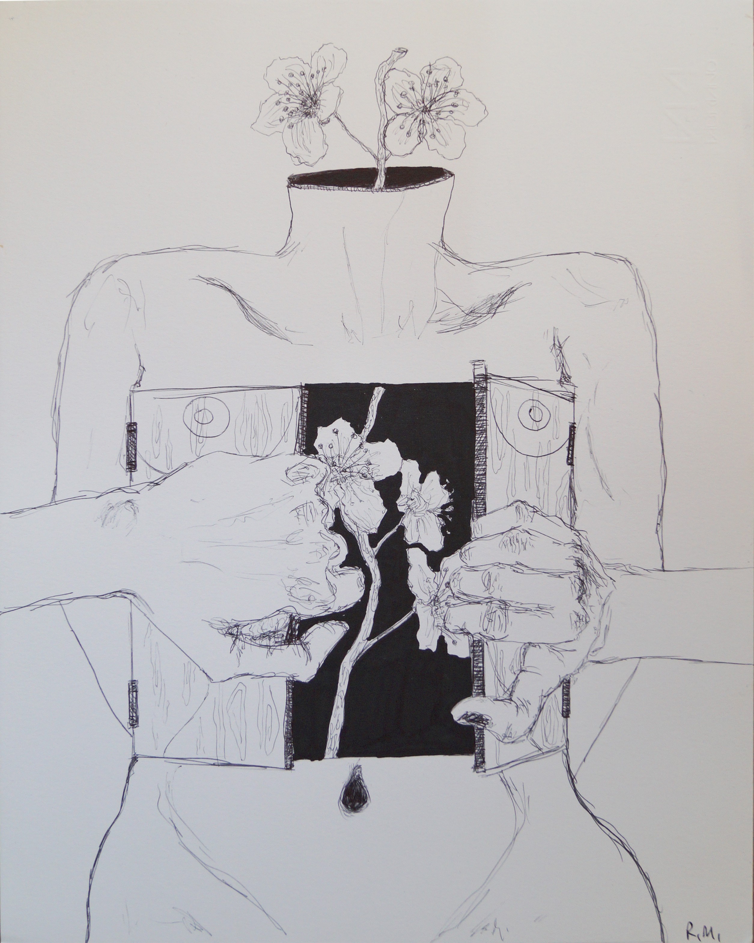 Rossella Mercedes, Flowering Rossella Mercedes, Flowering