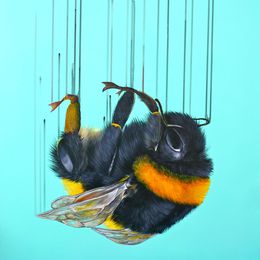 Print, Falling For You, Louise McNaught