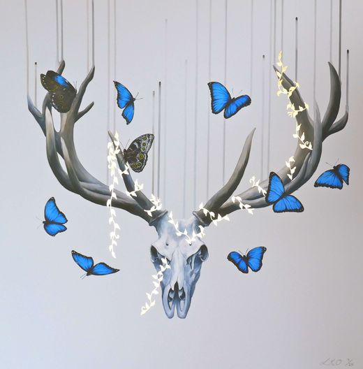 Louise McNaught