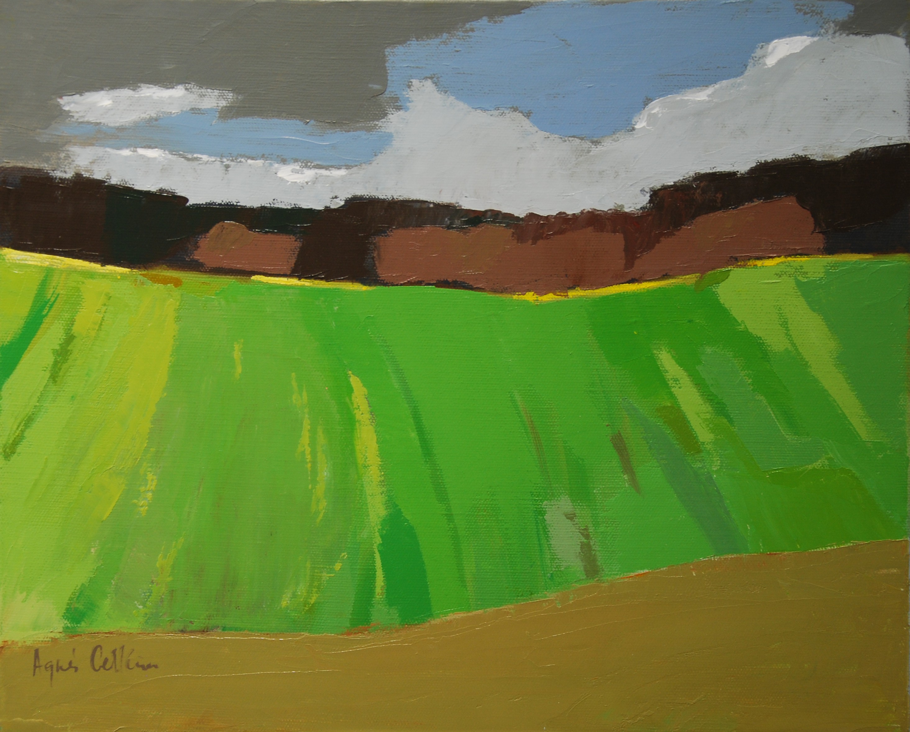 Agnès Cellérier, Orage Agnès Cellérier, Orage