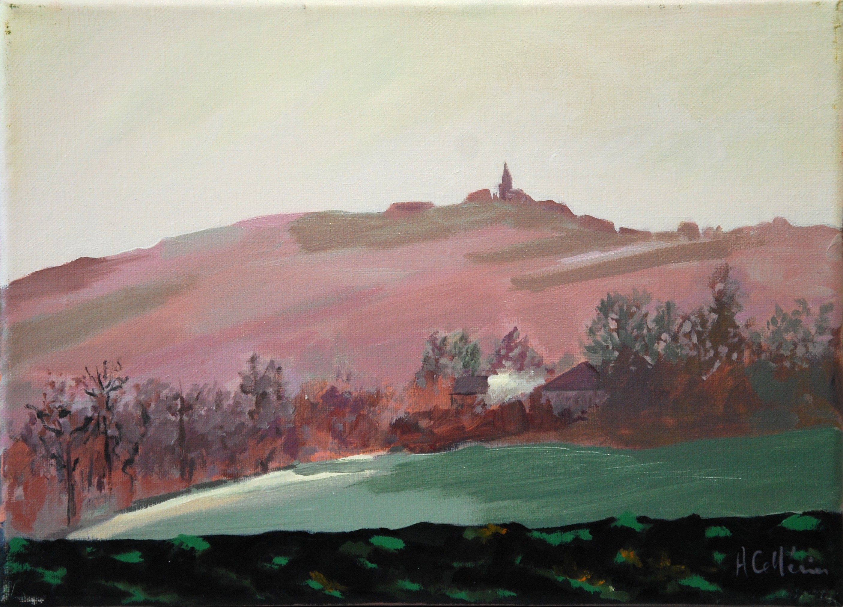 Agnès Cellérier, Puylaurens en rose Agnès Cellérier, Puylaurens en rose
