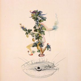 Edición, Flordali - Les Fruits : Révérence du groseiller, Salvador Dali