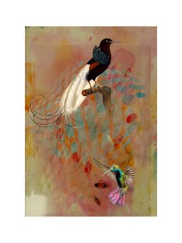 Print, Birds0032, Francisco Nicolás