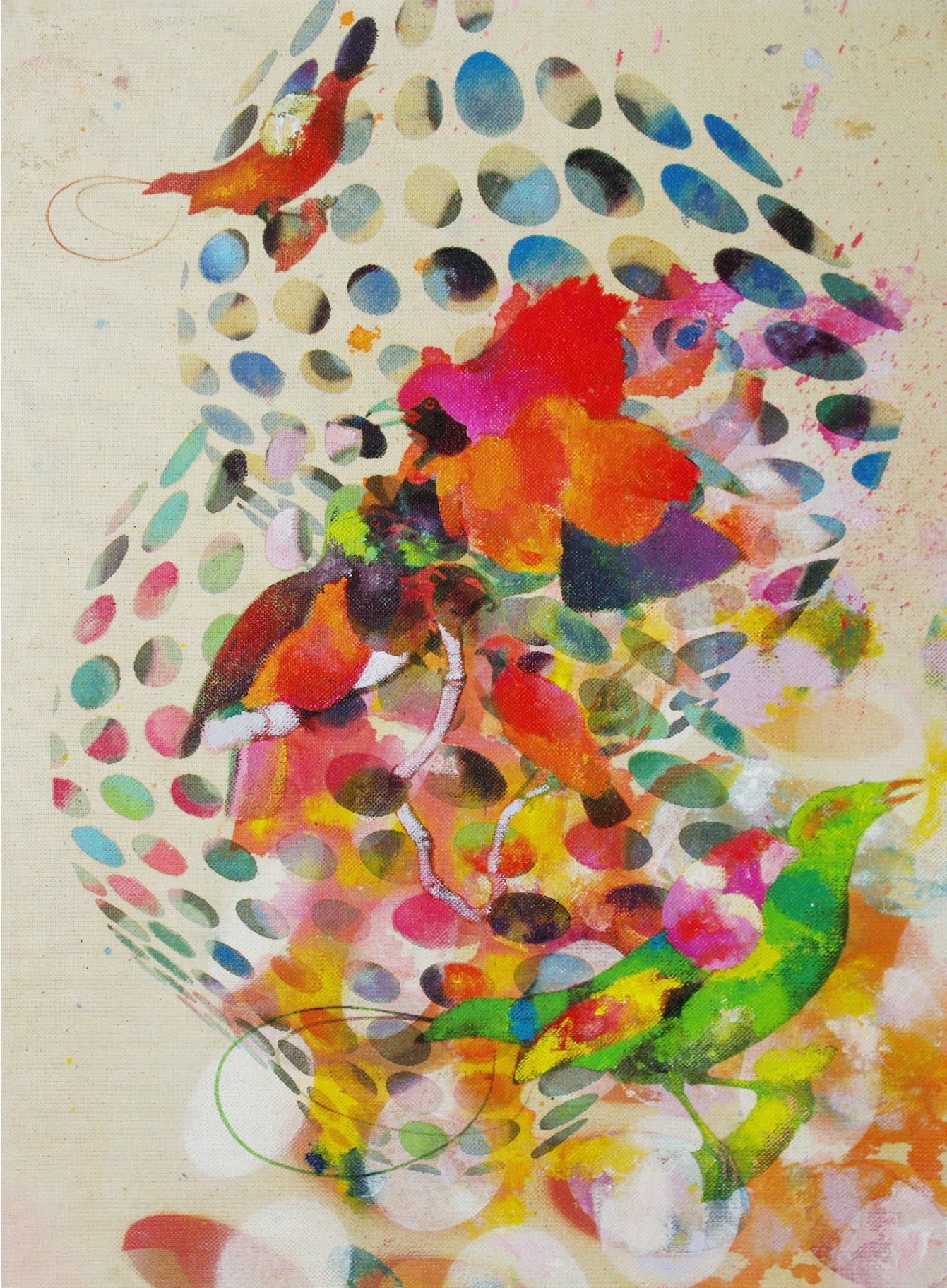 Francisco Nicolás, Birds 025 Francisco Nicolás, Birds 025