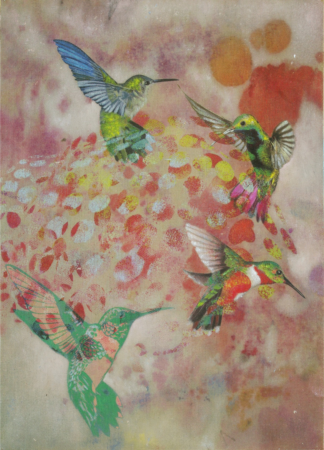Francisco Nicolás, Birds 013 Francisco Nicolás, Birds 013