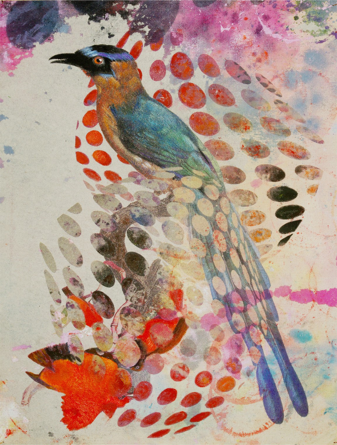 Francisco Nicolás, Birds 003 Francisco Nicolás, Birds 003