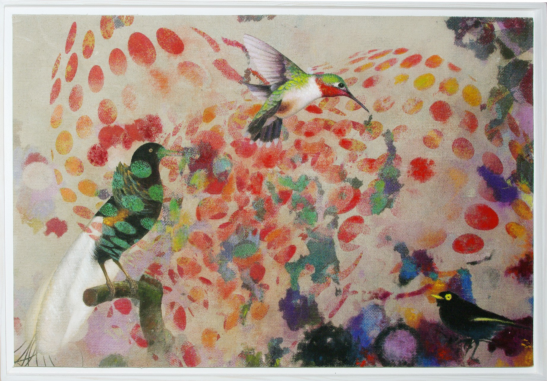 Francisco Nicolás, Birds 019 Francisco Nicolás, Birds 019