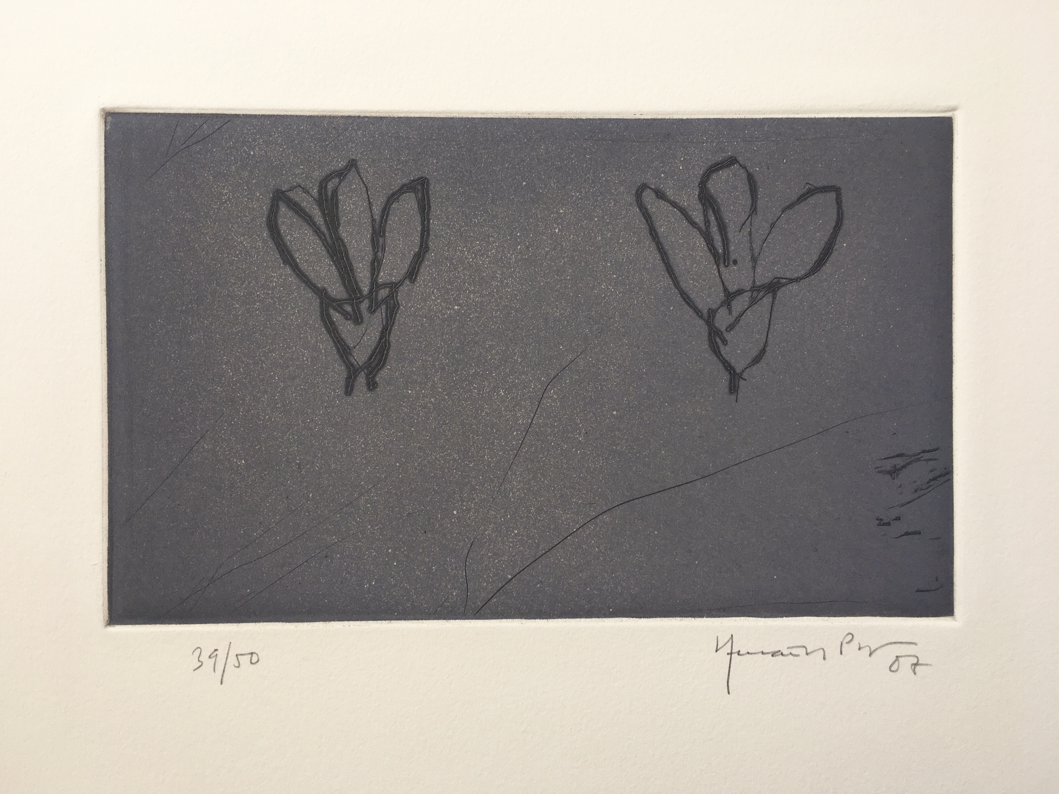 Joan Hernández Pijuan, Flors sobre gris Joan Hernández Pijuan, Flors sobre gris