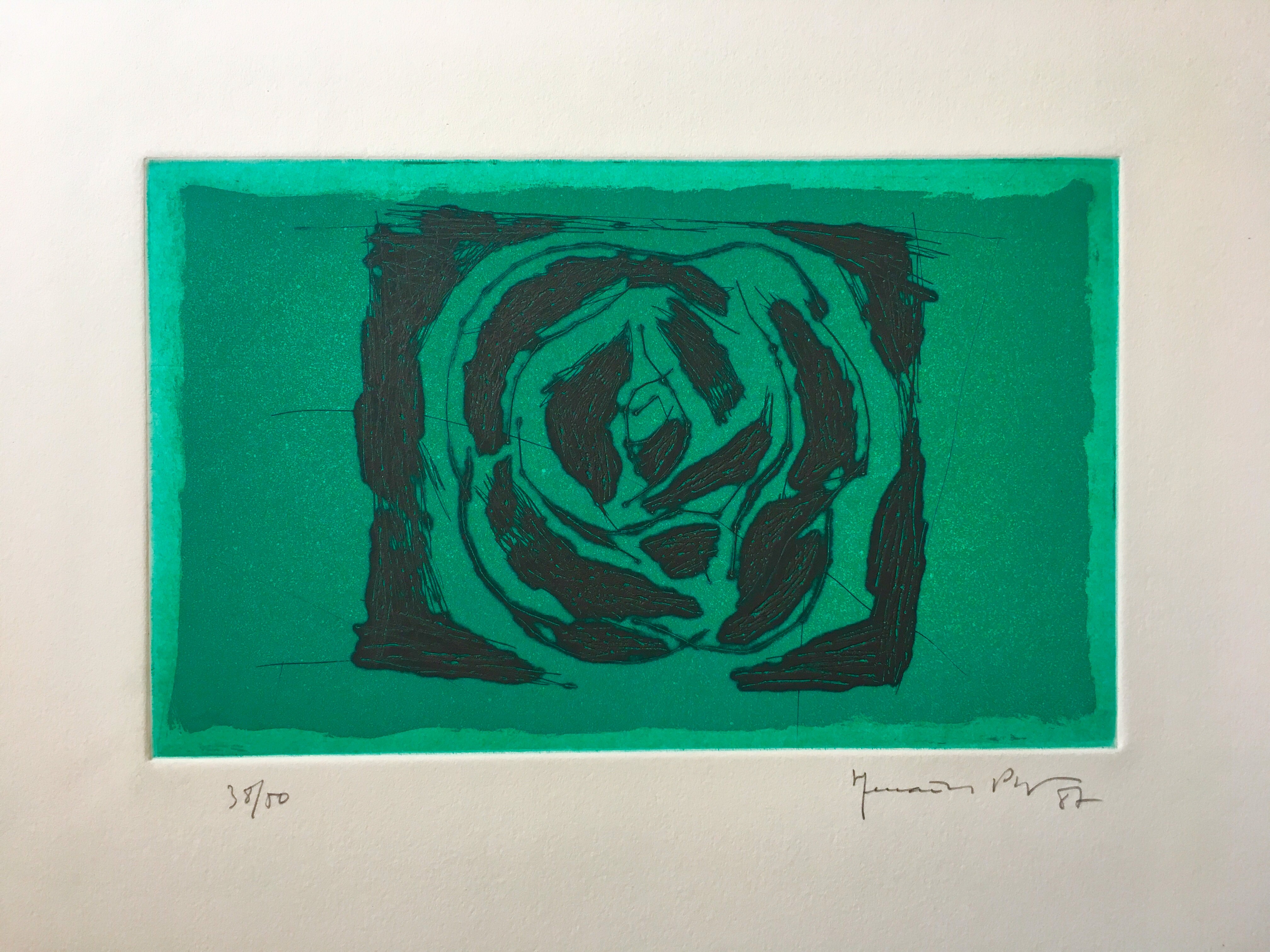 Joan Hernández Pijuan, Rosa verda Joan Hernández Pijuan, Rosa verda