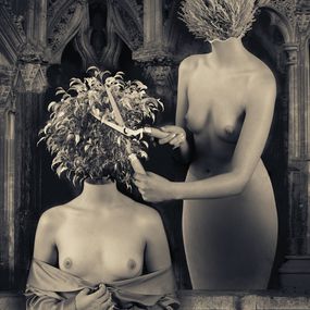 Fotografien, Trim, Dominic Rouse