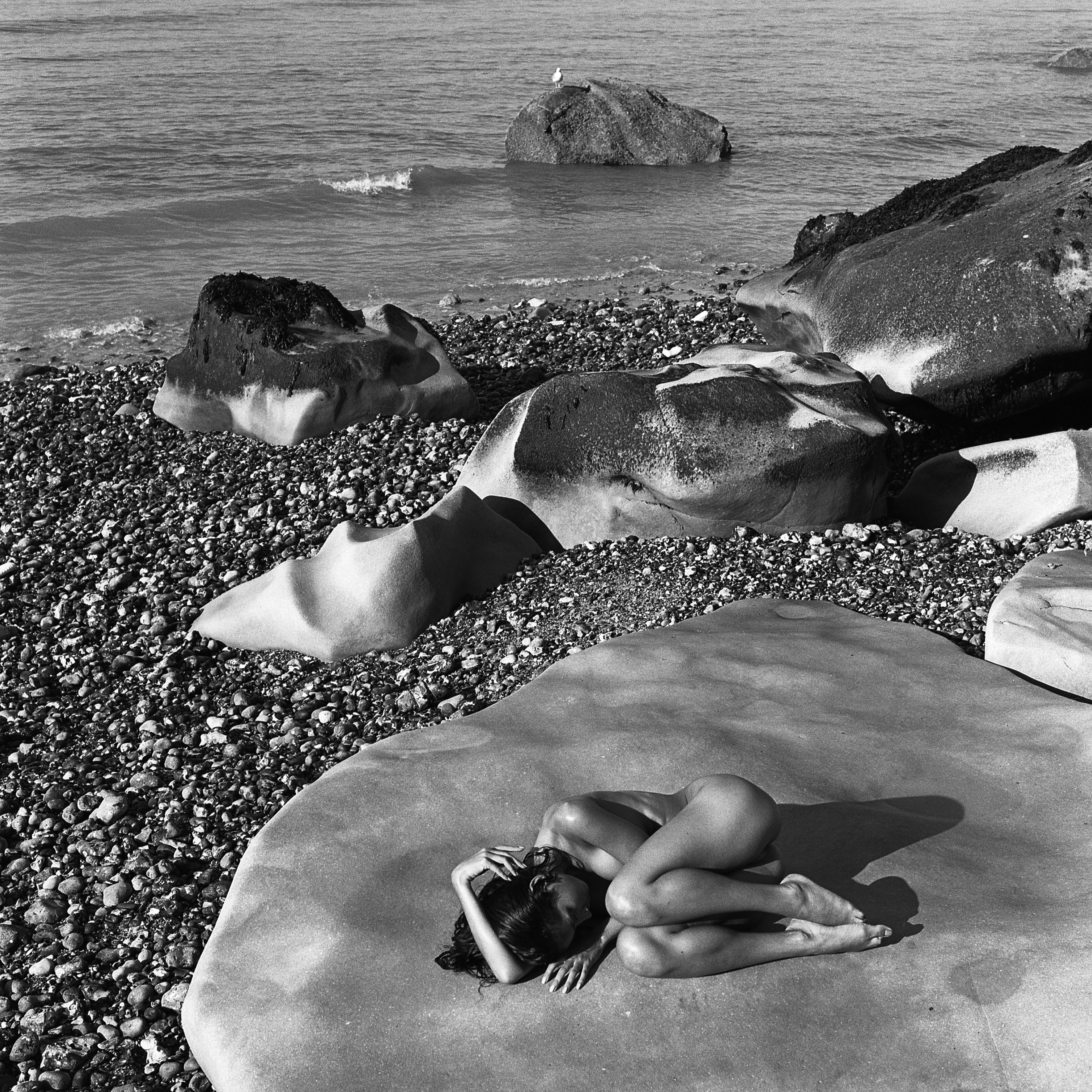 Bruno Fournier, Le sommeil Bruno Fournier, Le sommeil