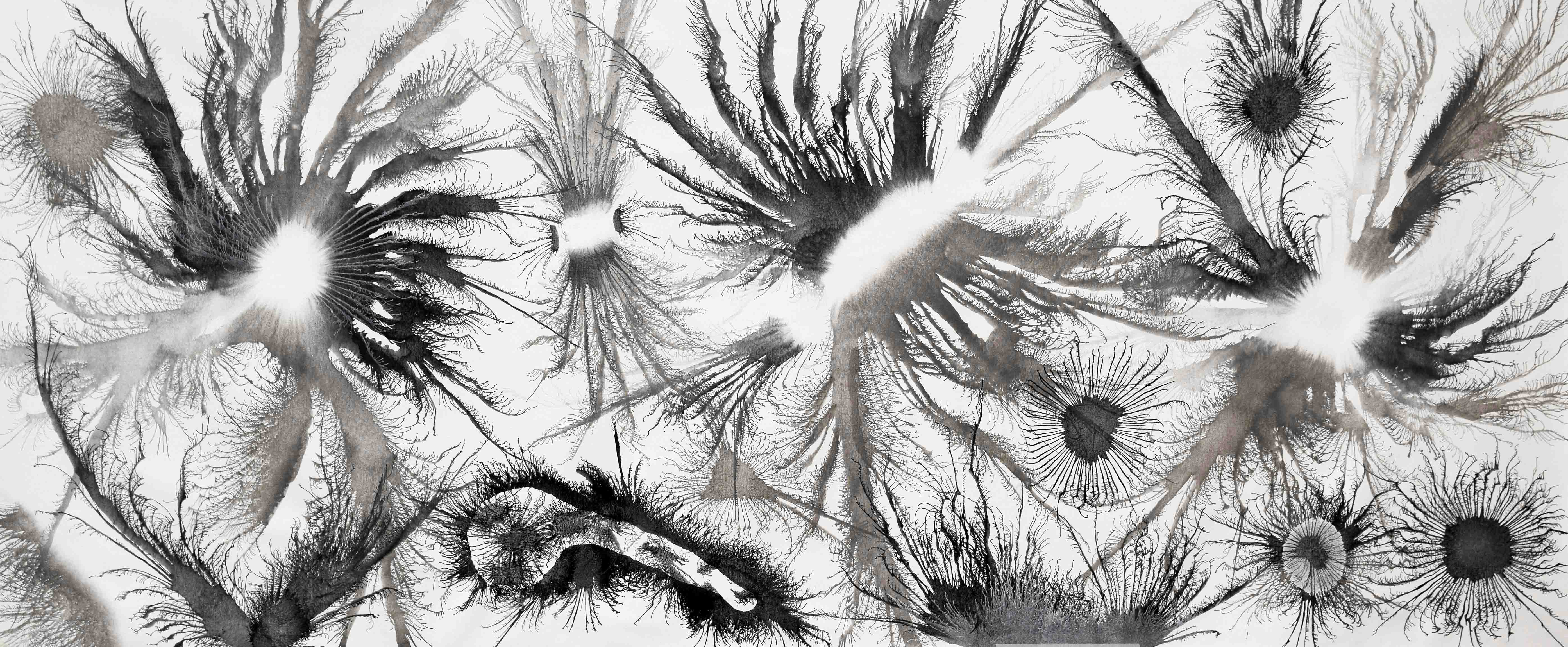 Sumit Mehndiratta, Exploflora Series No.28 Sumit Mehndiratta, Exploflora Series No.28