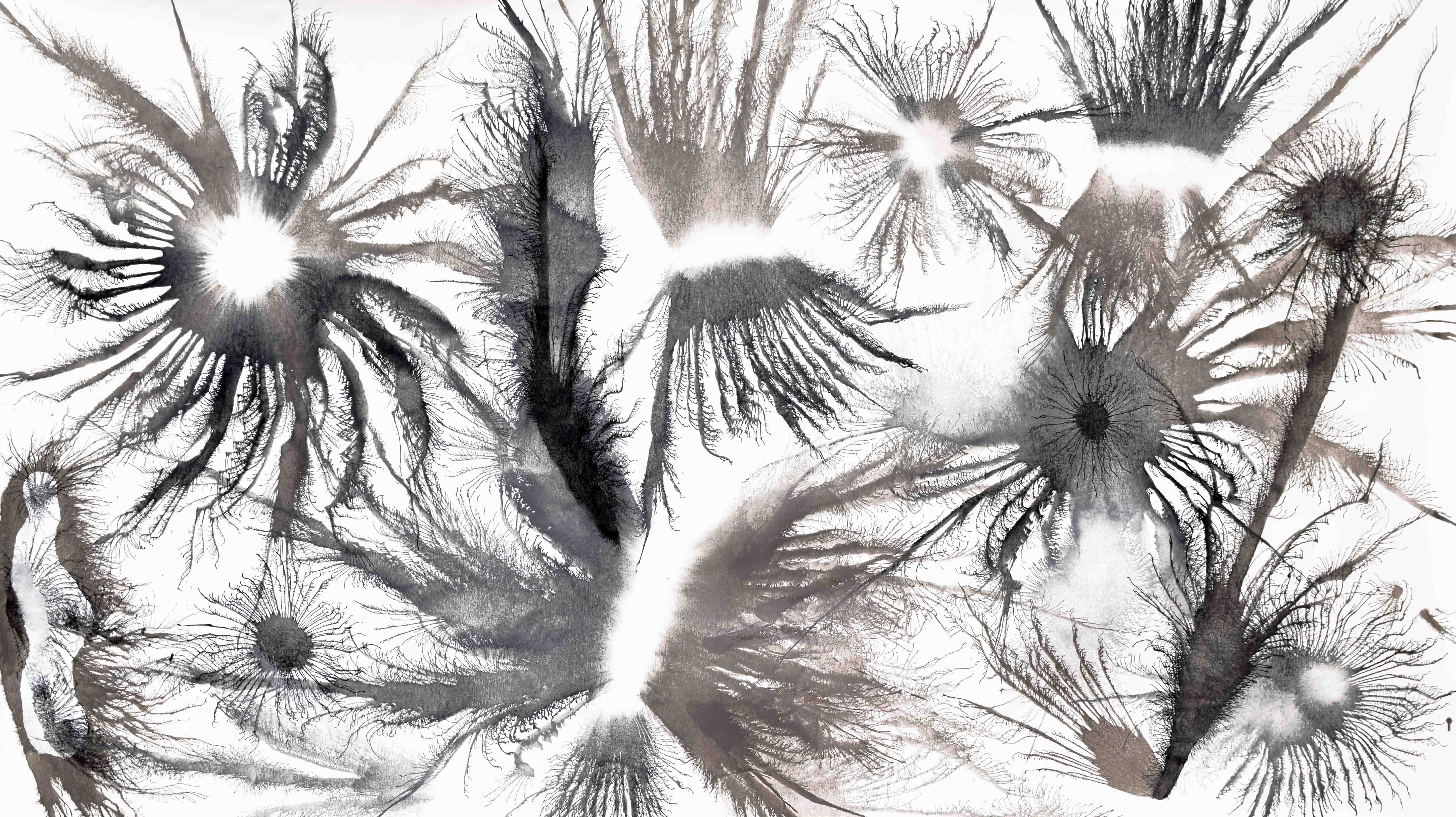 Sumit Mehndiratta, Exploflora Series No.29 Sumit Mehndiratta, Exploflora Series No.29