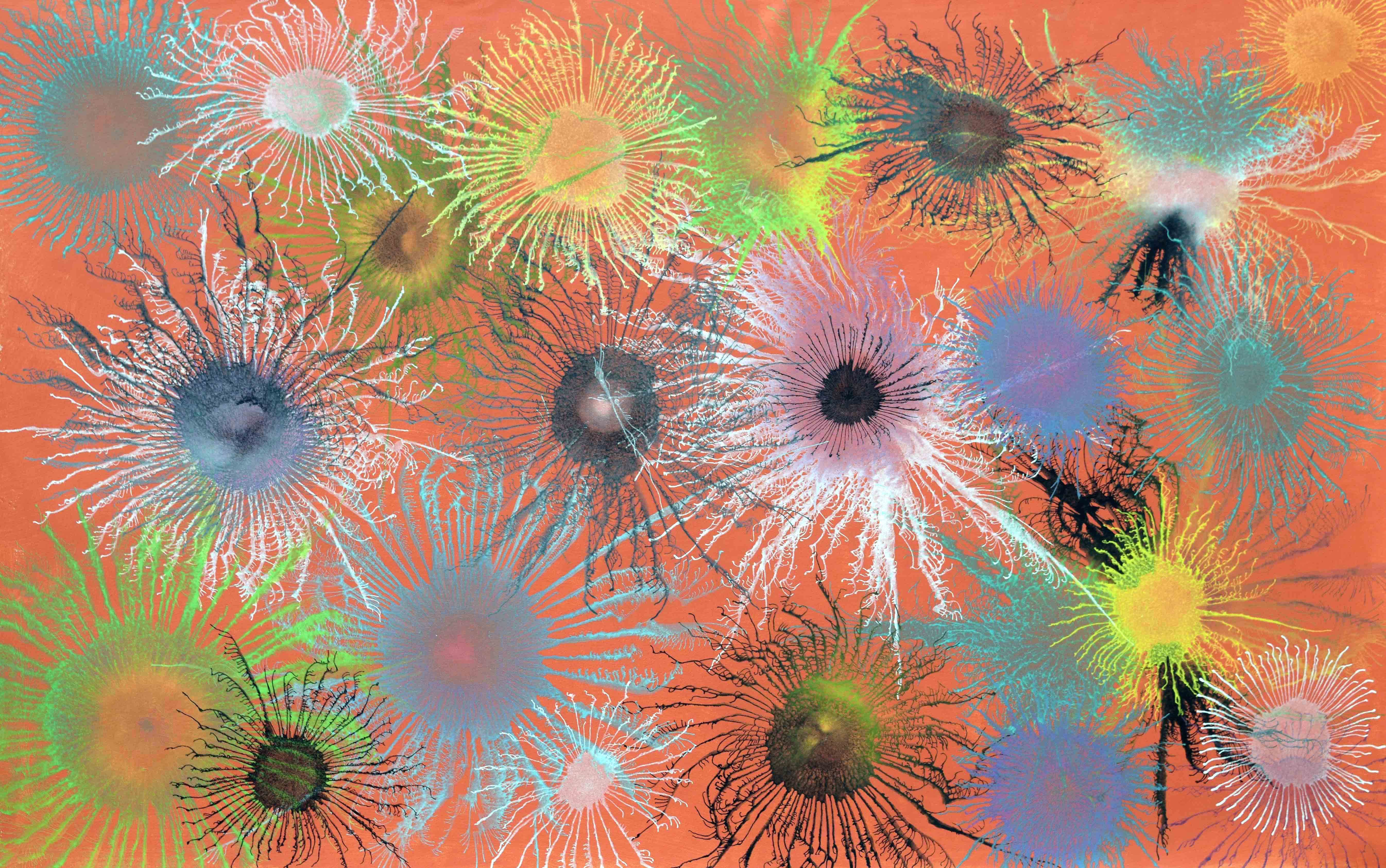 Sumit Mehndiratta, Exploflora Series No.62 Sumit Mehndiratta, Exploflora Series No.62