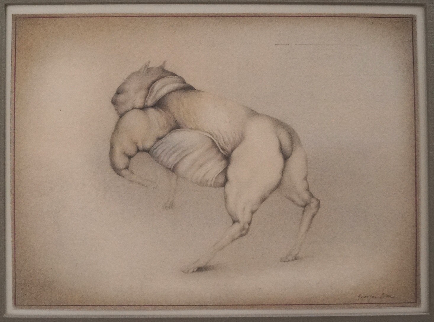 Georges Bru, Perspective d'animal Georges Bru, Perspective d'animal