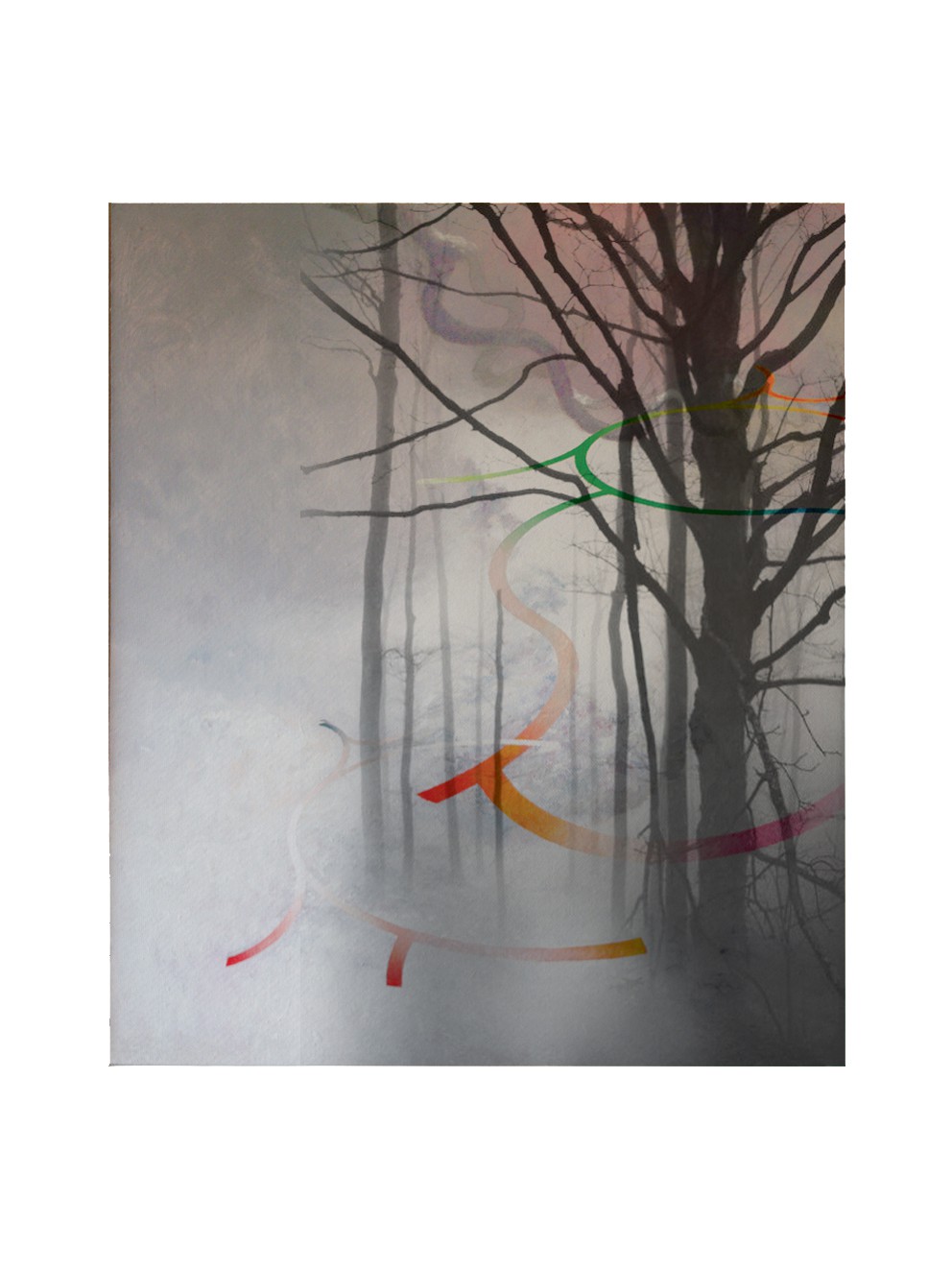 Francisco Nicolás, Forest XXX Francisco Nicolás, Forest XXX