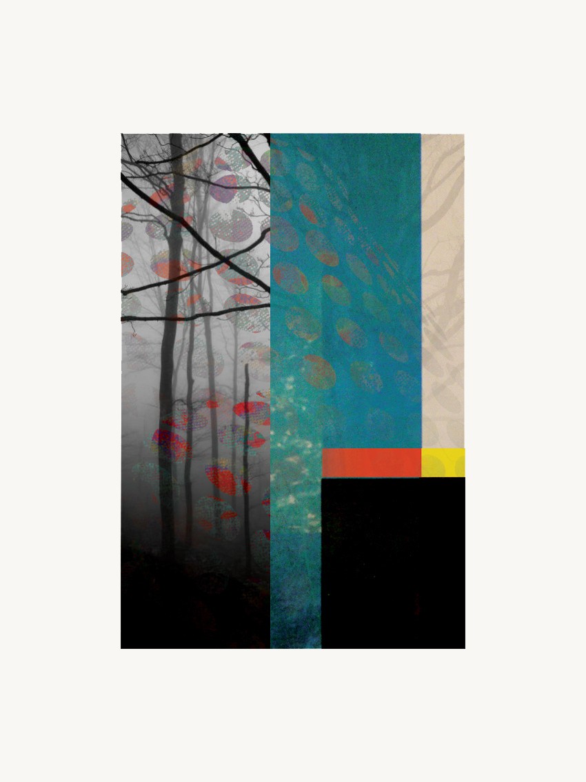 Francisco Nicolás, Forest XXVI Francisco Nicolás, Forest XXVI