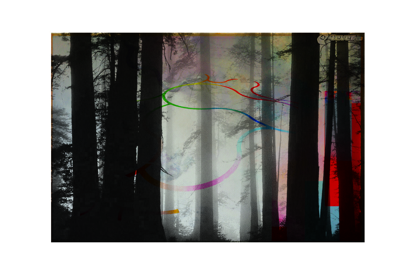 Francisco Nicolás, Forest XXIII Francisco Nicolás, Forest XXIII