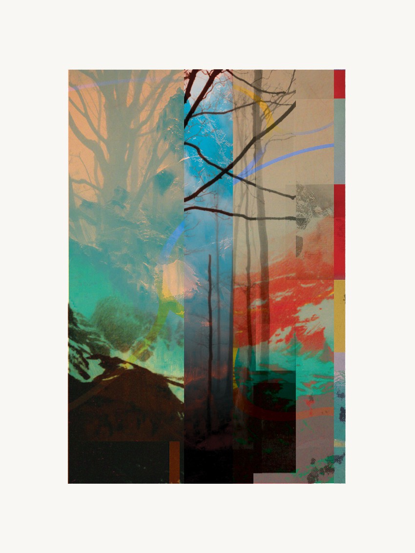 Francisco Nicolás, Red Forest Francisco Nicolás, Red Forest