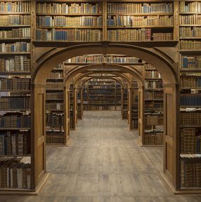 Upper Lusatian Library of Sciences, Görlitz, Reinhard Gorner