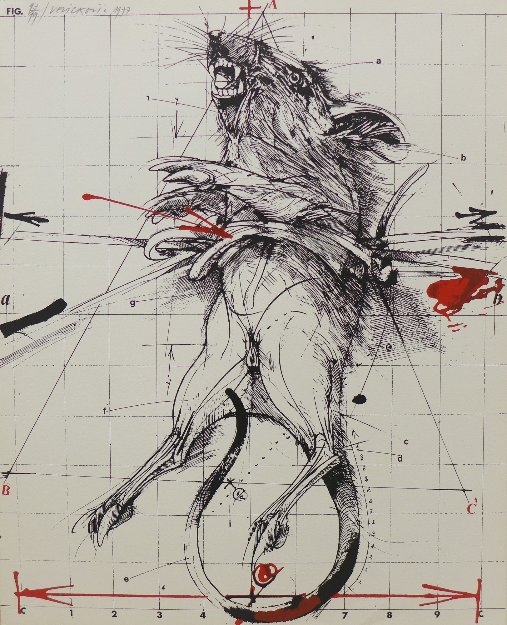 Vladimir Velickovic, Le rat Vladimir Velickovic, Le rat