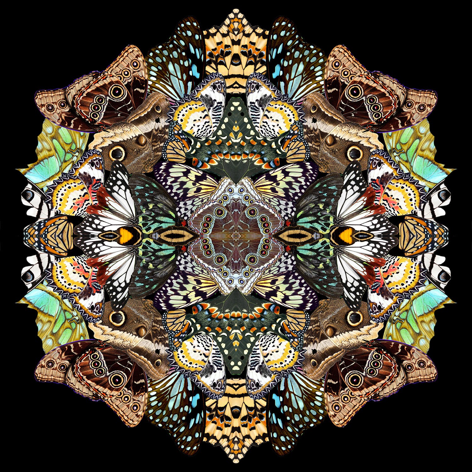Sumit Mehndiratta, Metamorphosis Sumit Mehndiratta, Metamorphosis