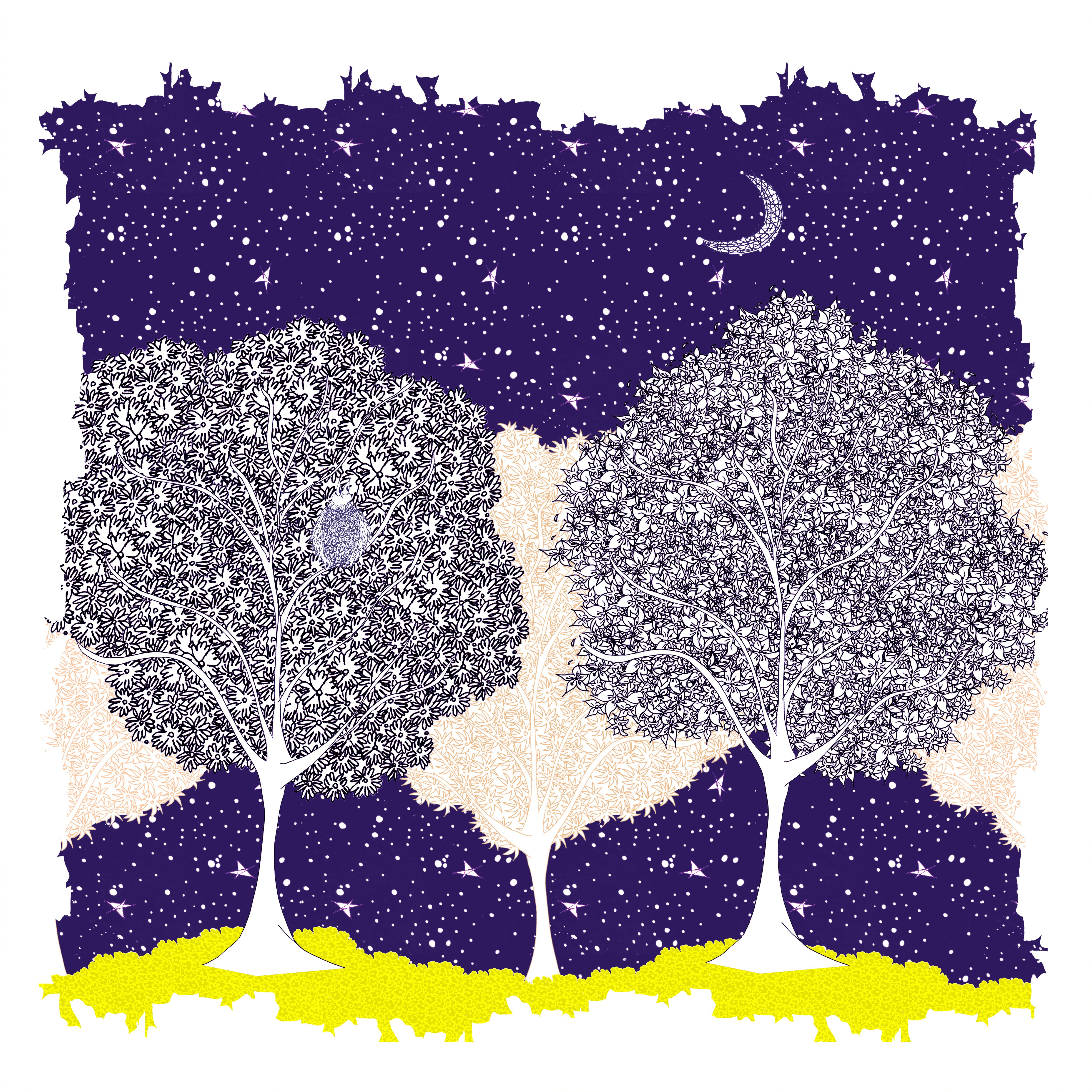 Julie Zeitline, Une nuit d'été Julie Zeitline, Une nuit d'été