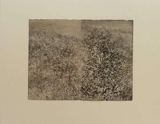 Bertrand Henry