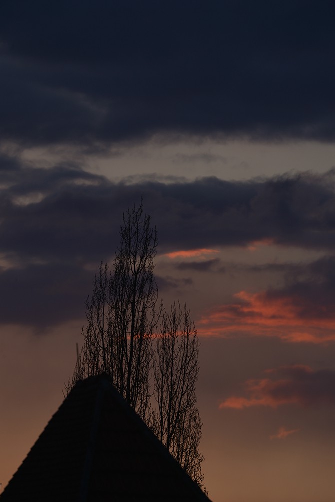 Feng Hatat, Ciel 31 Feng Hatat, Ciel 31