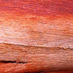 Julie Pontaut, (É)Corse 1 Julie Pontaut, (É)Corse 1
