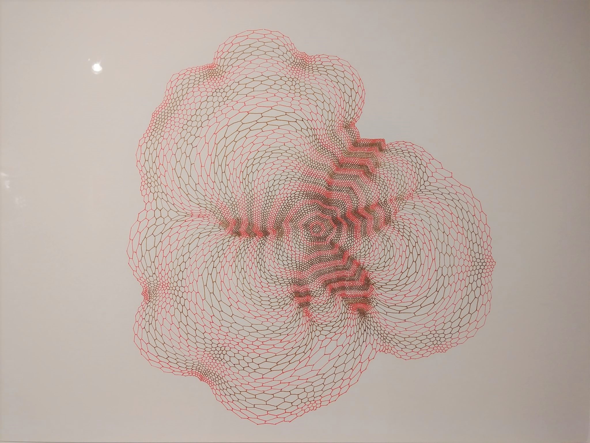 Colleen Wolstenholme, Contingent Cellular Structure 1 Colleen Wolstenholme, Contingent Cellular Structure 1