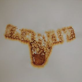 Pantie Stains 4, Cal Lane