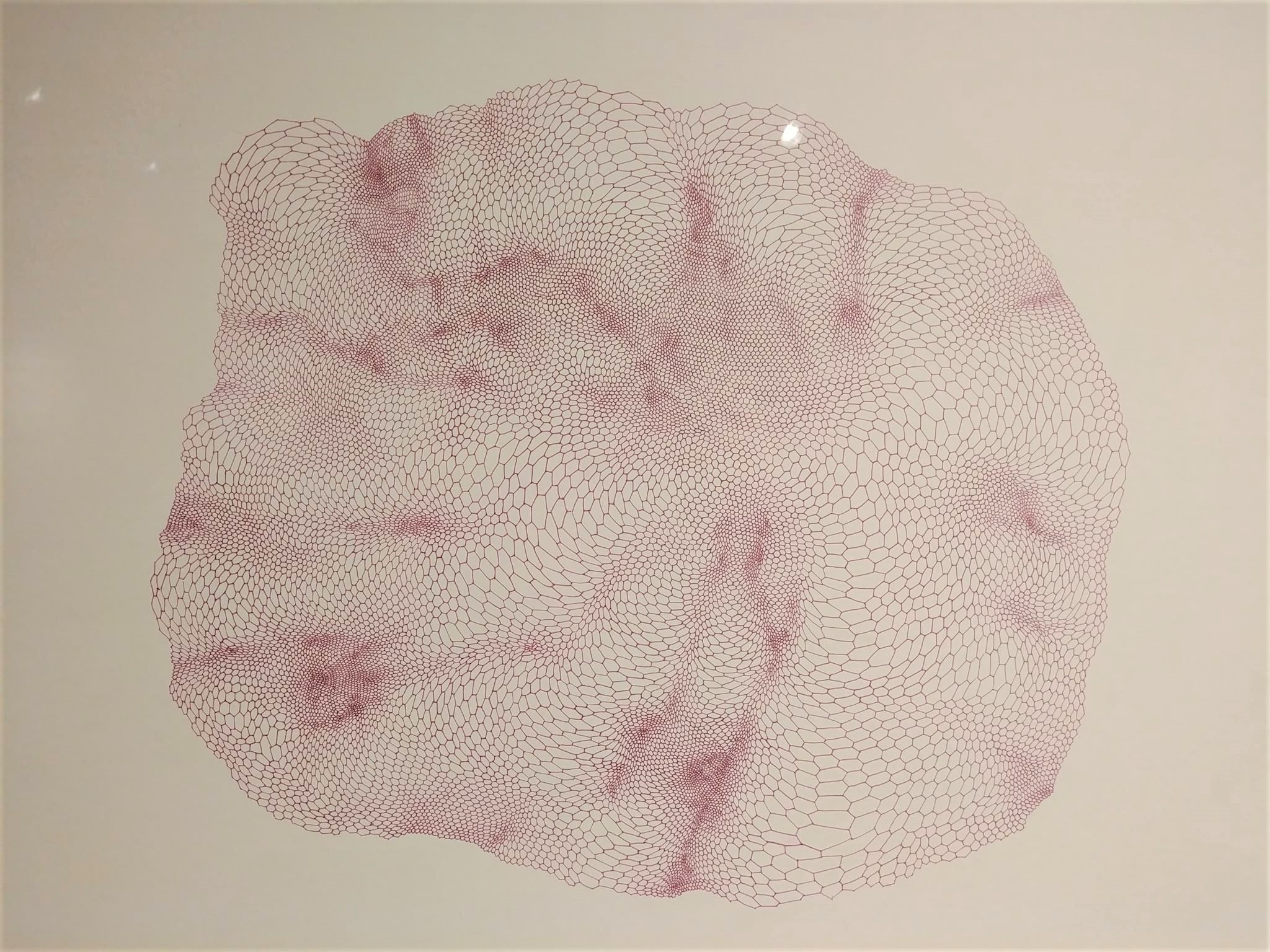 Colleen Wolstenholme, Contingent Cellular Structure 2 Colleen Wolstenholme, Contingent Cellular Structure 2