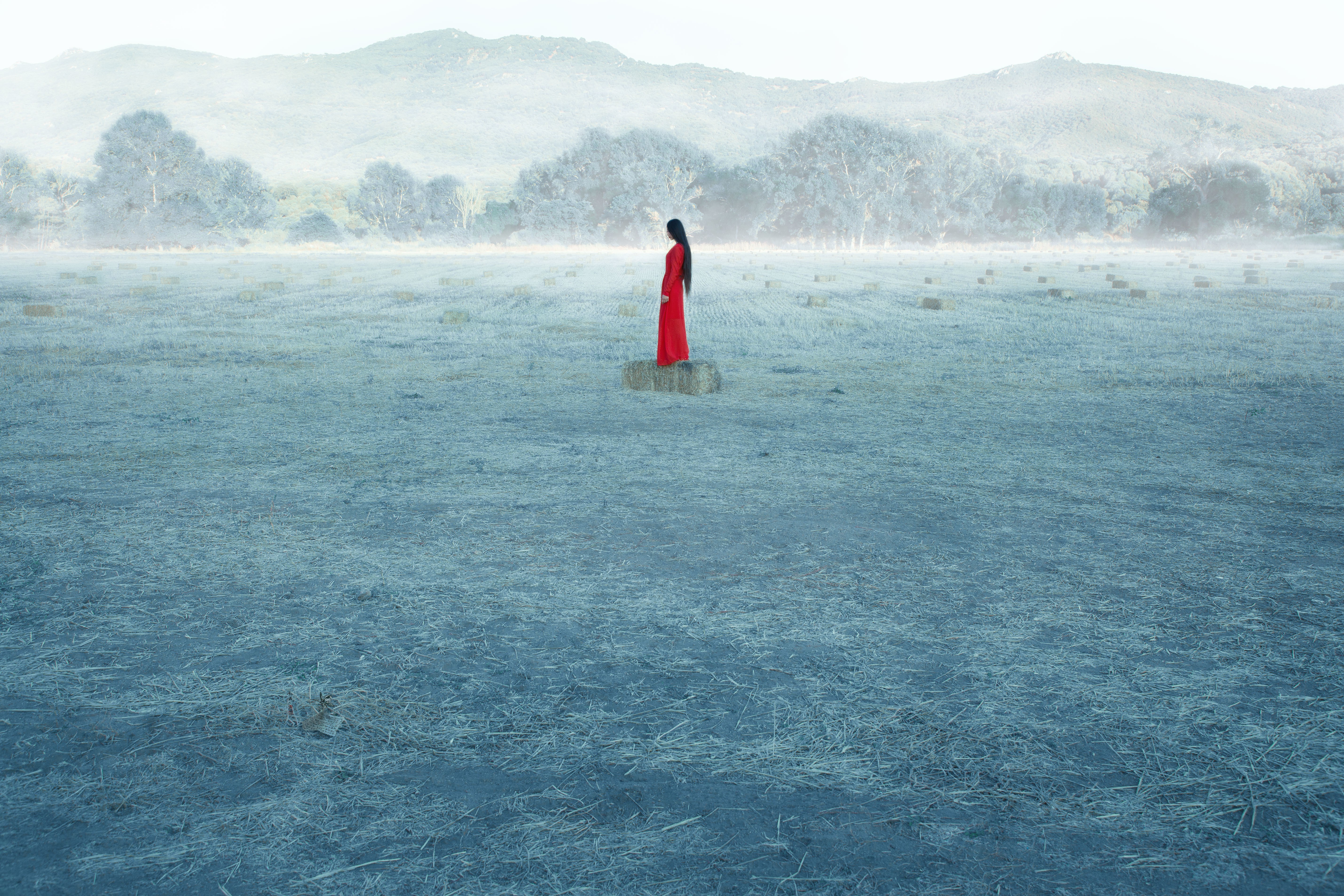Feng Kaixuan, Don de soi XXVII Feng Kaixuan, Don de soi XXVII