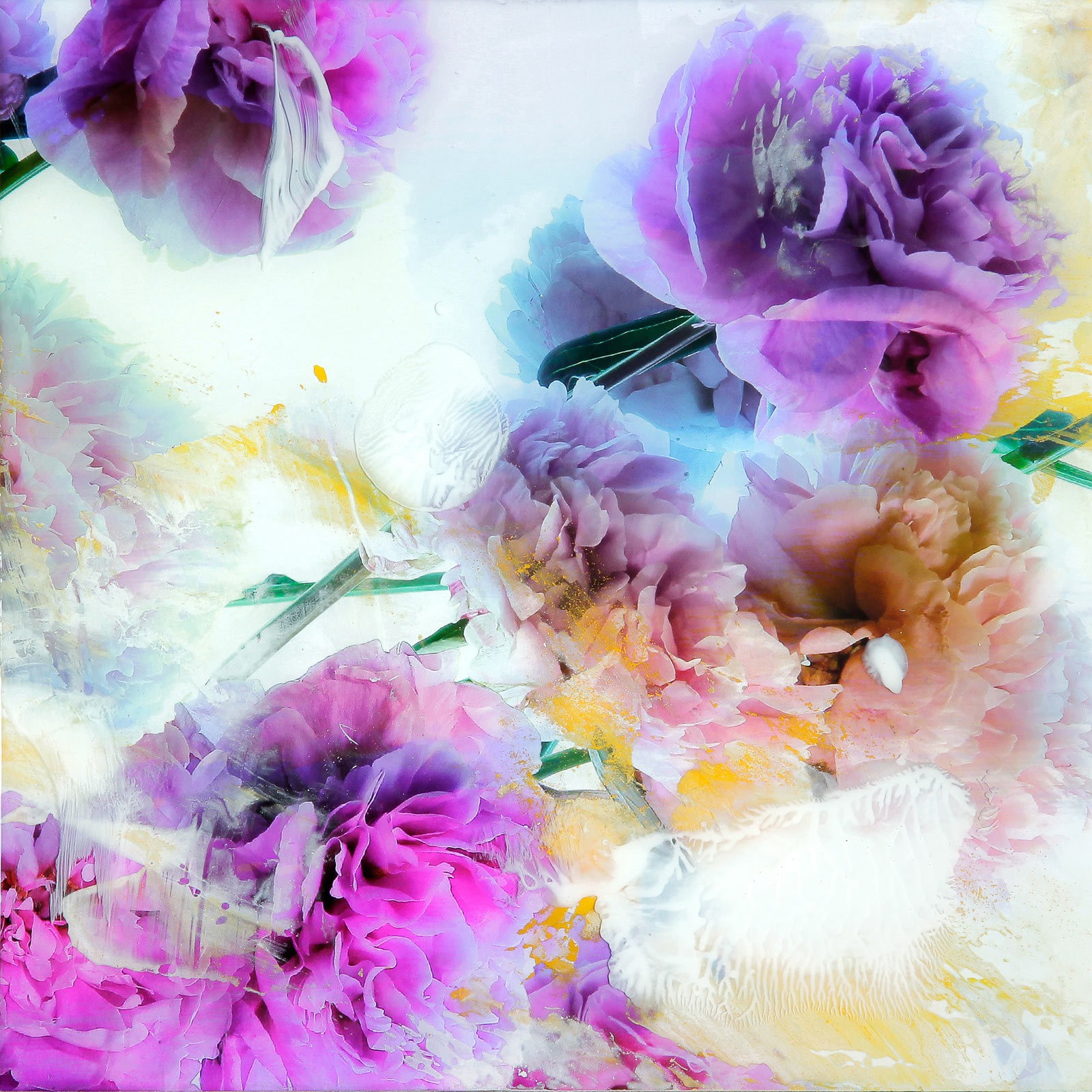 Xurxo Gómez-Chao, Bouquet Nº XVIII Xurxo Gómez-Chao, Bouquet Nº XVIII