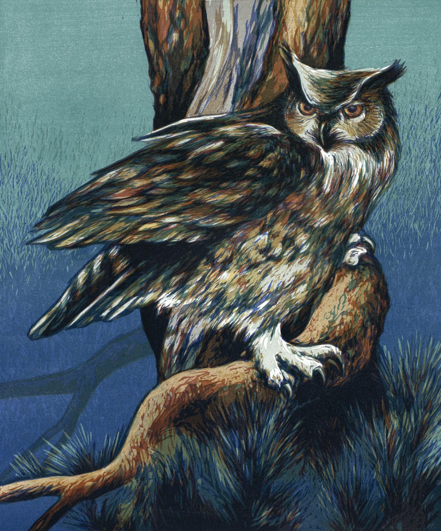 Ivar Nordhagen, Owl Ivar Nordhagen, Owl