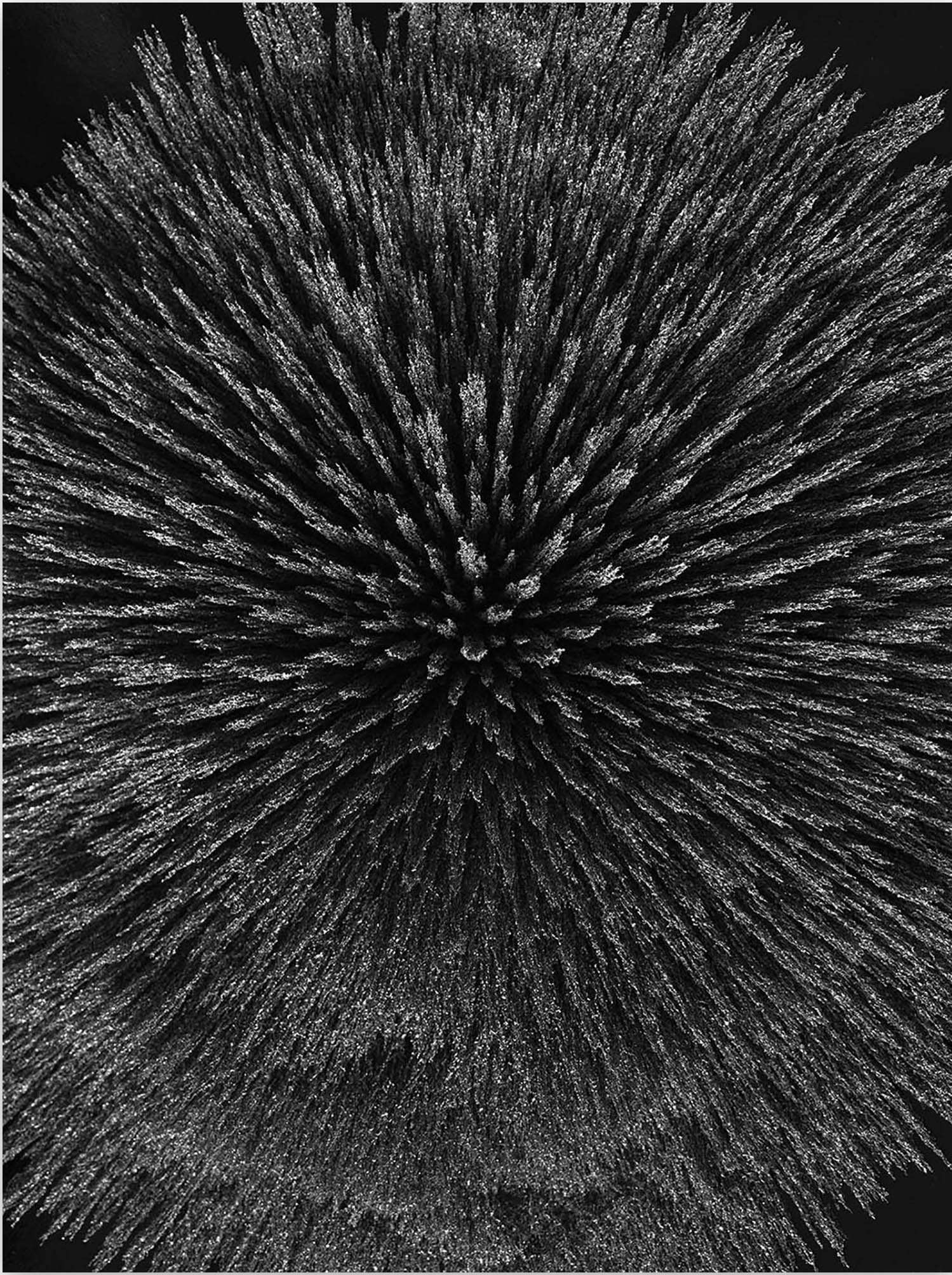 Seb Janiak, Magnetic Radiation 99 (Large) Seb Janiak, Magnetic Radiation 99 (Large)