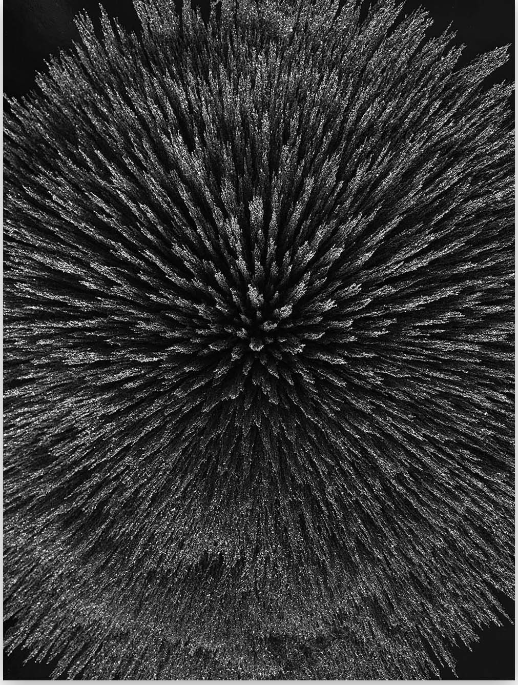 Seb Janiak, Magnetic Radiation 99 (Medium) Seb Janiak, Magnetic Radiation 99 (Medium)