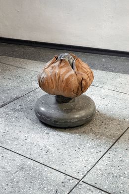 A bud, Andrius Erminas
