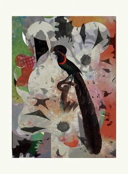 Print, ST0104, Francisco Nicolás