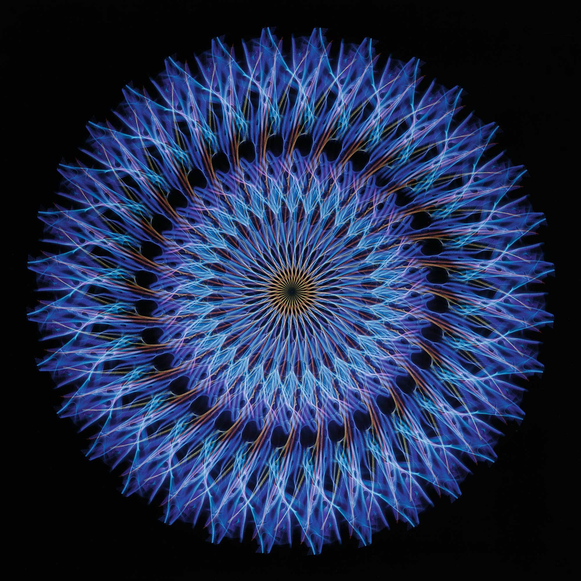 Hein Gravenhorst, Lichtreflex - Rotation Hein Gravenhorst, Lichtreflex - Rotation