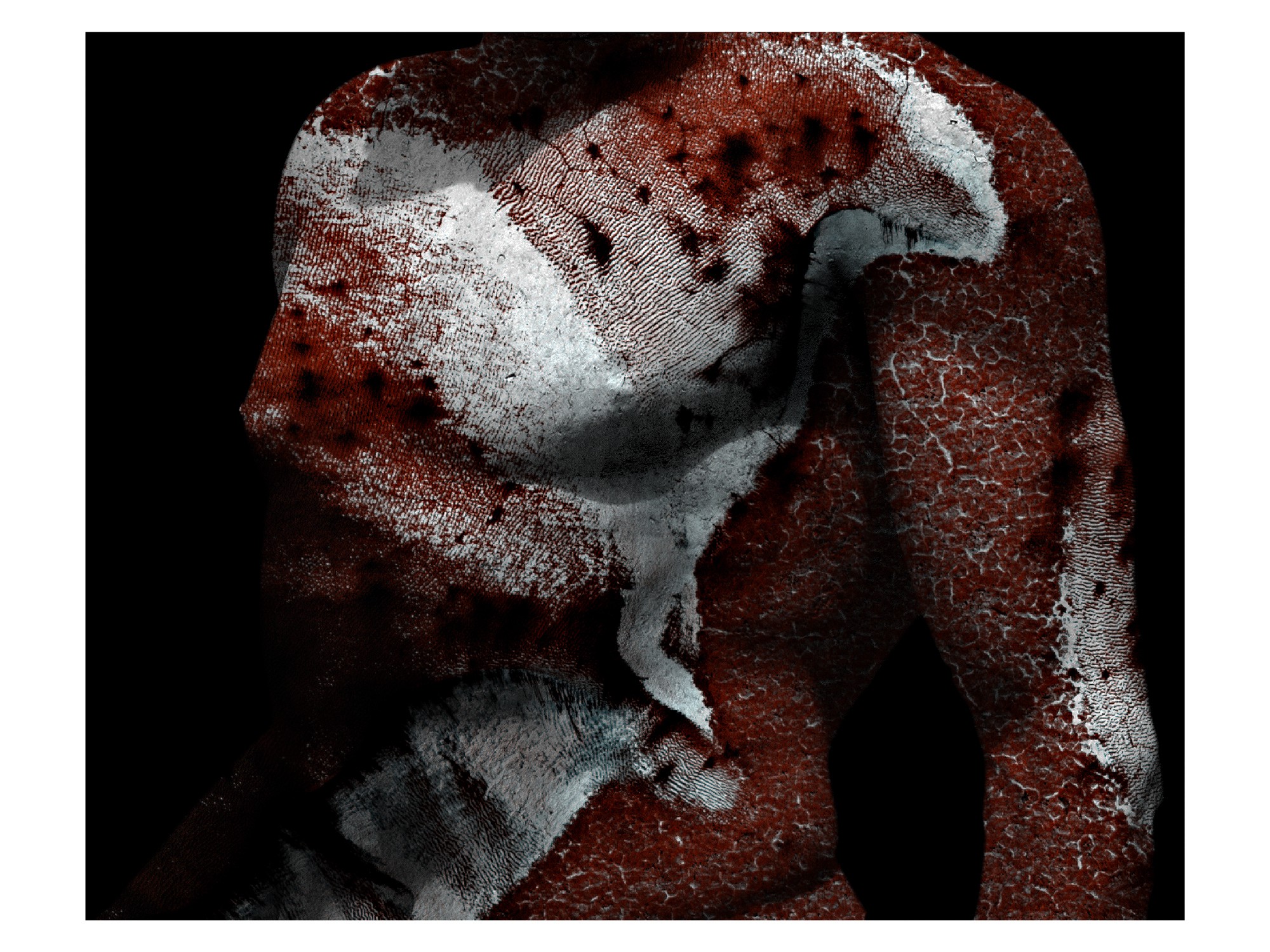 Antonio Briceño, Series: The skin of Mars - Skin 9 Antonio Briceño, Series: The skin of Mars - Skin 9